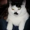 Casey Wang - @casey.wang - TikTok