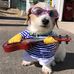 Casey Ward - Facebook