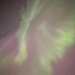 Casey Rose Warford - Facebook