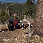 Casey Sutton Watkins - @caseyw.doglove - Instagram