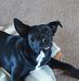 Casey Watkins - Facebook