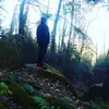 Casey Watkins - @caseywatkins7 - TikTok