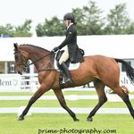 Casey Webb - @caseywebbeventing - Instagram