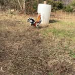 Casey Webb - Facebook