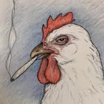 Casey Whiteside - @chickenbiscuit_btm - Instagram