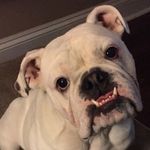 Casey Whitesides - @casey_whitesides - Instagram