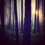 Casey - @casey_woods_ - Instagram