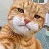 Casey Wooten - @caseywooten_3369 - TikTok
