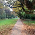 Casey Wray - @caseylearns - Instagram