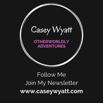 Casey Wyatt - @caseywyattbooks - Instagram