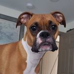 Casey Wyatt - @cwyatt037 - Instagram