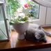 Kazia Wydra - Facebook