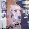 Casey - @caseyyacapin - TikTok