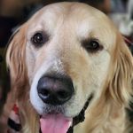 Casey Yanez - @casey_yanez - Instagram