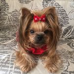 ВЯЗАНИЕ🧶🎀КЕЙСИ&НАТАЛЬИ🎀 - @casey_york_ - Instagram