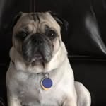 Casey Younts Muszynski - @caseyyounts - Instagram