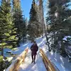 caseyzellersbeggs - @caseyzellersbeggs - TikTok