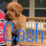 CA$H LIVOL$I - @cash_the_beast_ - Instagram