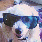 cash - @cash_da_beast - Instagram
