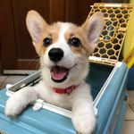 周勻希 - @cashbox516 - Instagram