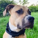 Cash Brown - @_cashbrown_ - Instagram