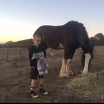 Cash Brown - @cash.ingtons - Instagram