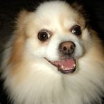 Cash Carter - @cash_carter_savage - Instagram