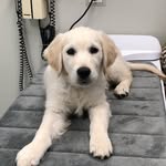 @cash_case2018 - Instagram