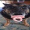Cash Casey - @cash.casey - TikTok