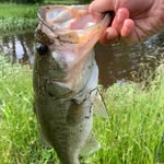 Cash Cole Wilson - @cash.fishing - Instagram