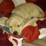 Cash Cook - @cashcook_104 - Instagram