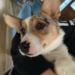 Cash cook - @cash__cook22 - Instagram