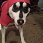 Kash Cunningham - Facebook