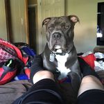 Cash Davis - @cashdavis1 - Instagram