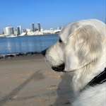 Cash Gordon - @cash.coronado - Instagram