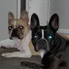 Callie_CashHarrison - @calie_cashharrison - TikTok