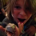 Cash Harrison - @the_lizard_keeper - Instagram