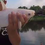 Cash Harrison - @cash5080 - Instagram
