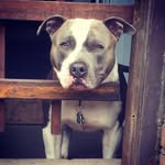 Cash harrison - @cashharrison52 - Instagram