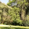 Cash Jones - @wonder.cc777 - TikTok