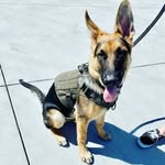 Cash Knowles - @cashiskinggsd - Instagram