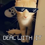 Cash Lopez - @fatcat_cash - Instagram