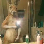 Cash Serenita - @cash.lopez8517 - Instagram