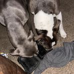 Kash Mccall - Facebook