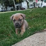 Cash Mitchell - @chebubbles1234 - Instagram