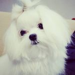 スタンリームーアは私の名前です - @cash___moore.010745 - Instagram