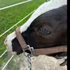 Cash moore - @cash.moore8 - TikTok