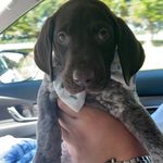 Cash Moore - @cash_moore1 - Instagram