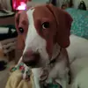cashmorgan7 - @cashmorgan7 - TikTok