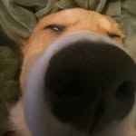 cash - @cashroberts_556 - Instagram
